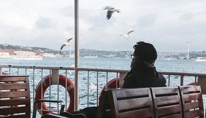 “这是国家的耻辱,高市内阁必须辞职”