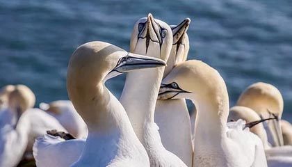 被中产女性抛弃,百年巨头撤离,这个千亿市场变天了