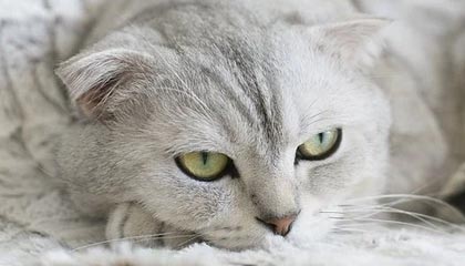 院长贪腐上亿元落马，大药厂老板涉嫌行贿被抓