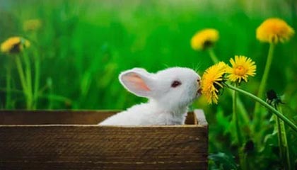 被中产女性抛弃,百年巨头撤离,这个千亿市场变天了