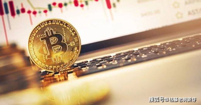 到 2022 年底，比特币价格将达到这个潜在的高点？