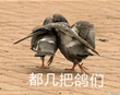 游戏及其所编造的——游研社重庆群一周年记