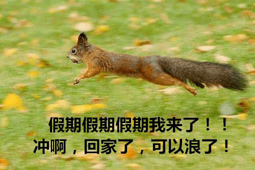 速来学习！泉师er必备假期生存指南