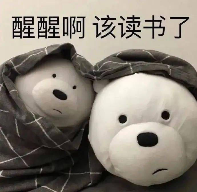 速来学习！泉师er必备假期生存指南
