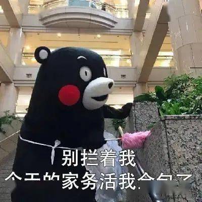 速来学习！泉师er必备假期生存指南
