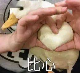 速来学习！泉师er必备假期生存指南