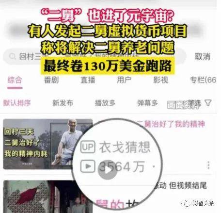 「财智头条」二舅币崩盘 为何总有人上当？