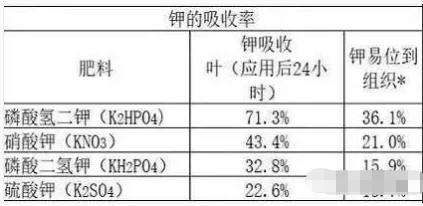 柑橘进入稳果期，果个小、膨果慢，怎么补救