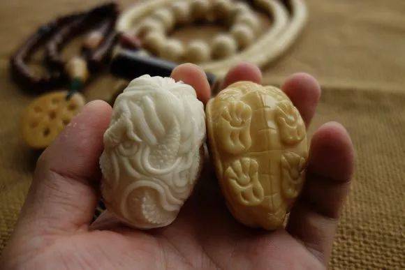 什么是象牙果？象牙果饰品如何把玩和养护？