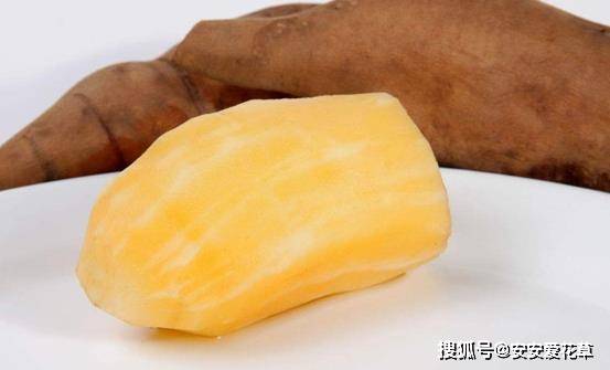 吃雪莲果的禁忌 推荐两种雪莲果的吃法