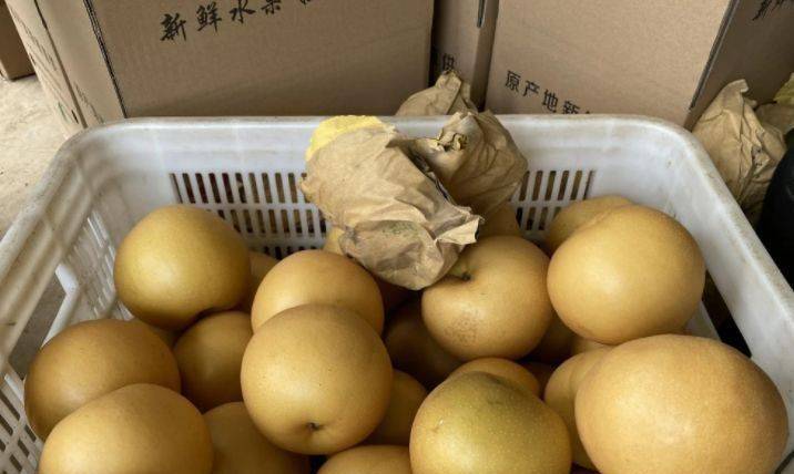 老一辈常说“吃果不吃瓜”是什么意思？果是什么果？