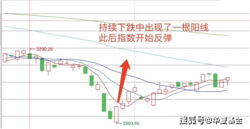 “硬核”看盘！如何看懂K线图？