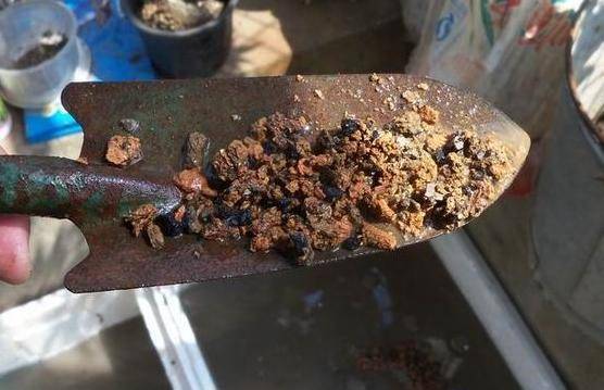 什么营养、腐叶土，都不如“这种土”，配土时放一些，从此不烂根