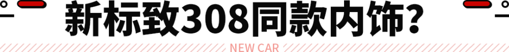 有中国特供也有海外独享？海外版新标致408曝光！