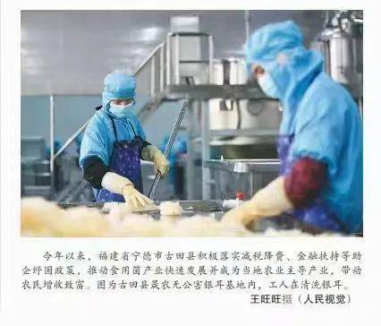 人民日报海外版关注古田银耳