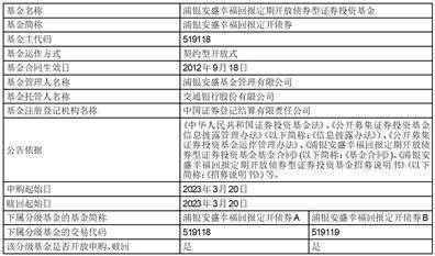 浦银安盛幸福回报定期开放债券型证券投资基金 2023年度开放日常申购、赎回的业务公告