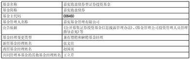关于嘉实致盈债券基金经理变更的公告