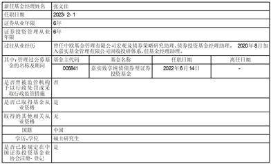 关于嘉实致盈债券基金经理变更的公告