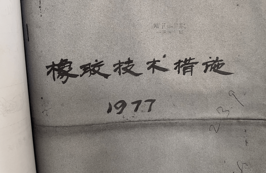 发扬“橡胶林精神”，推动恩平高质量发展