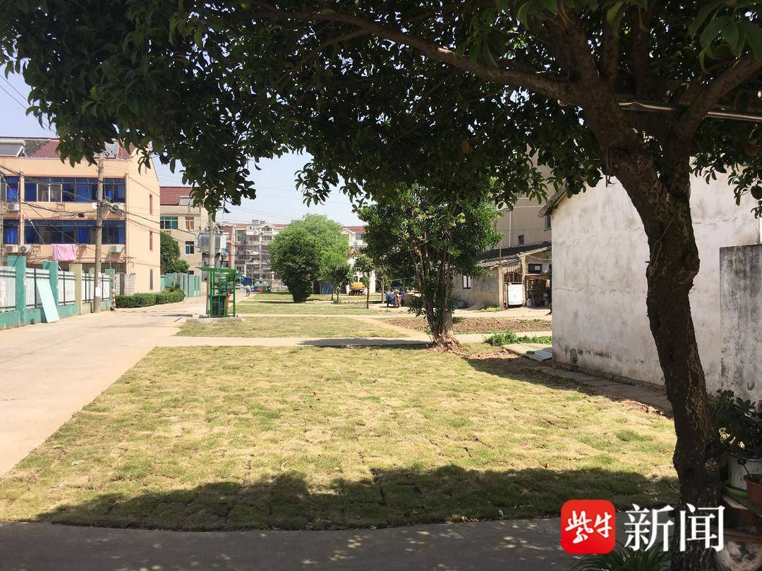 张家港市金港街道：按下暖心“三键”，跑出美好生活加速度