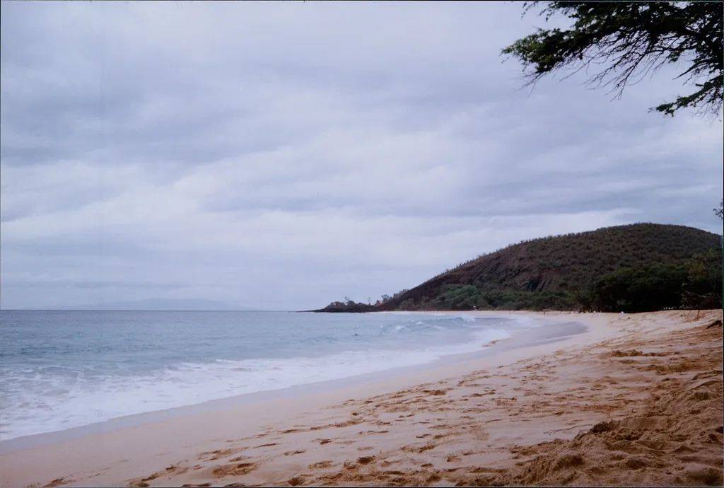 8.7级强震,海啸已到日本!福岛第一核电站发出避难指示,中领馆紧急提醒