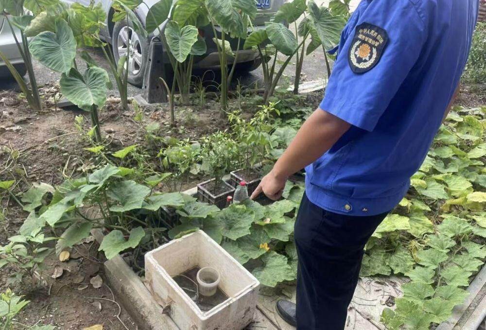 广州番禺公布一批“两热”典型违法案例,8月至今共处罚1059宗