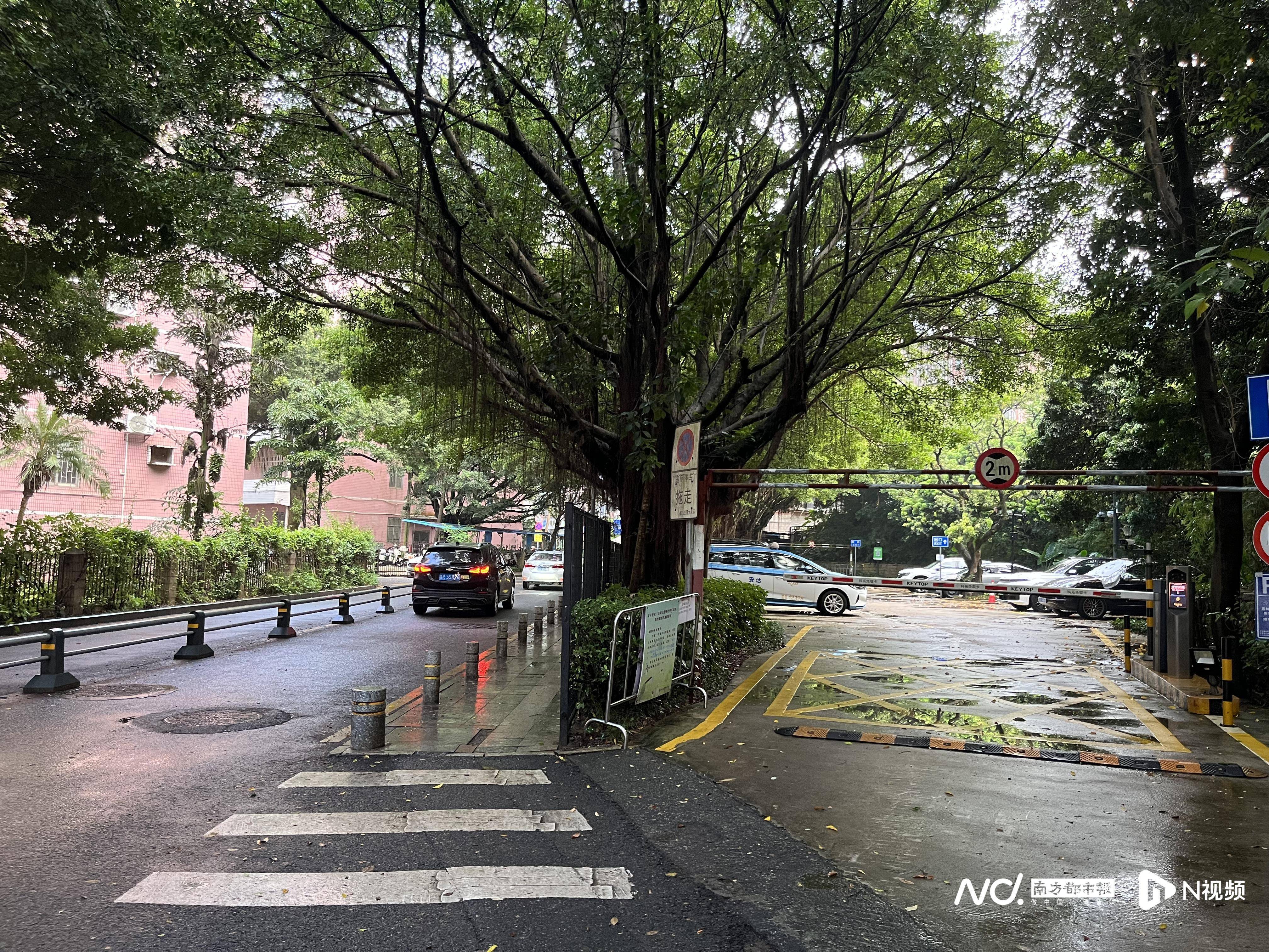 深圳一小区电动车管理引担忧，部门责令整改后，记者实探