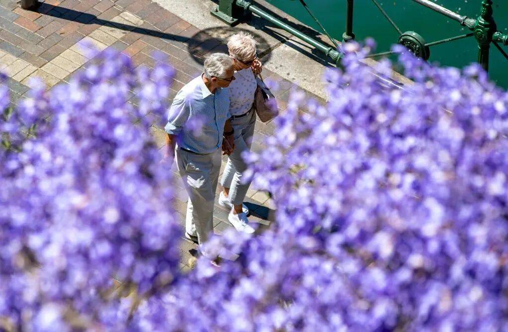 别说自己老了，大脑功能或60岁时达巅峰