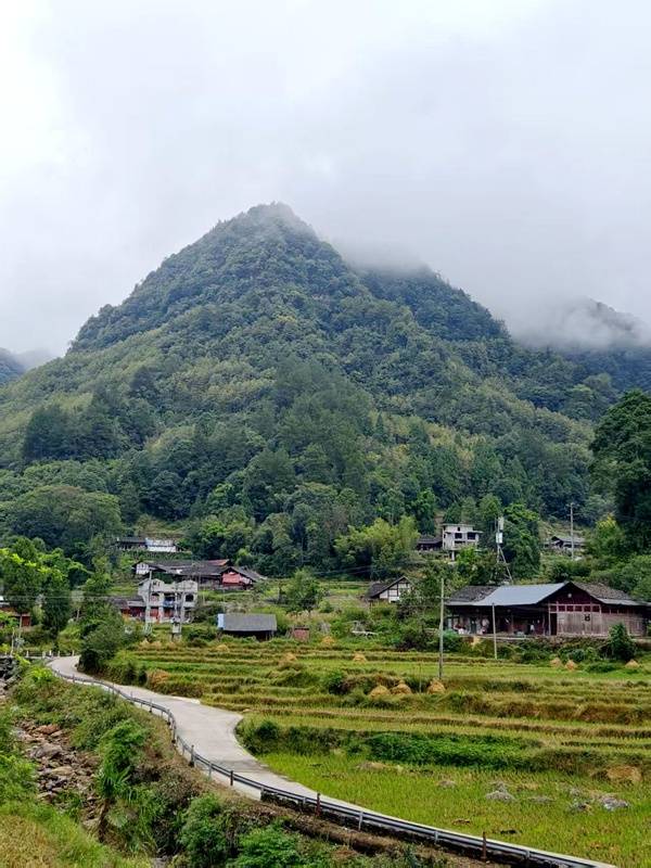 推窗见梯田!梧桐山民宿:把日子过成诗