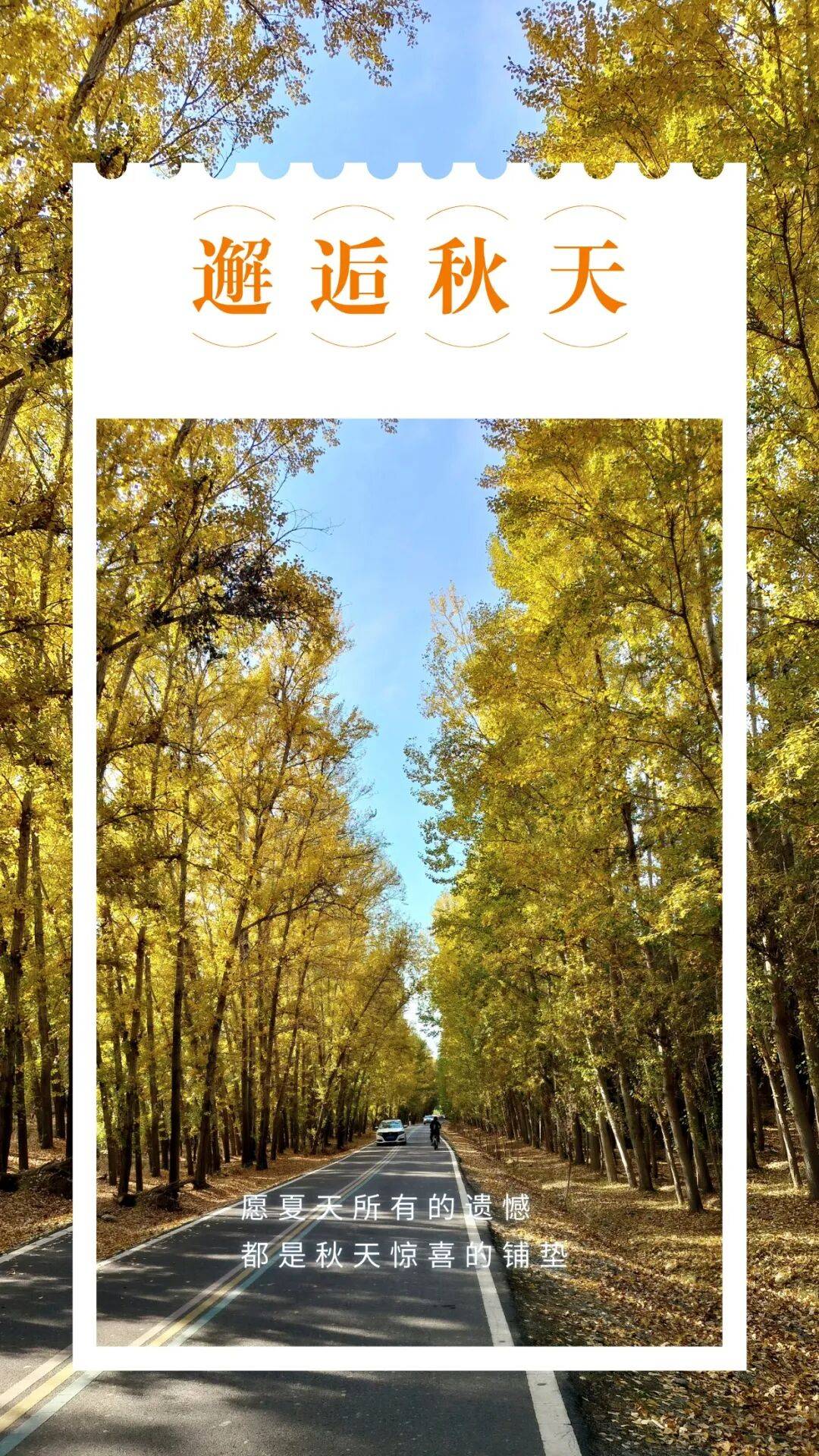 邂逅博州的秋天,从从容容游刃有余