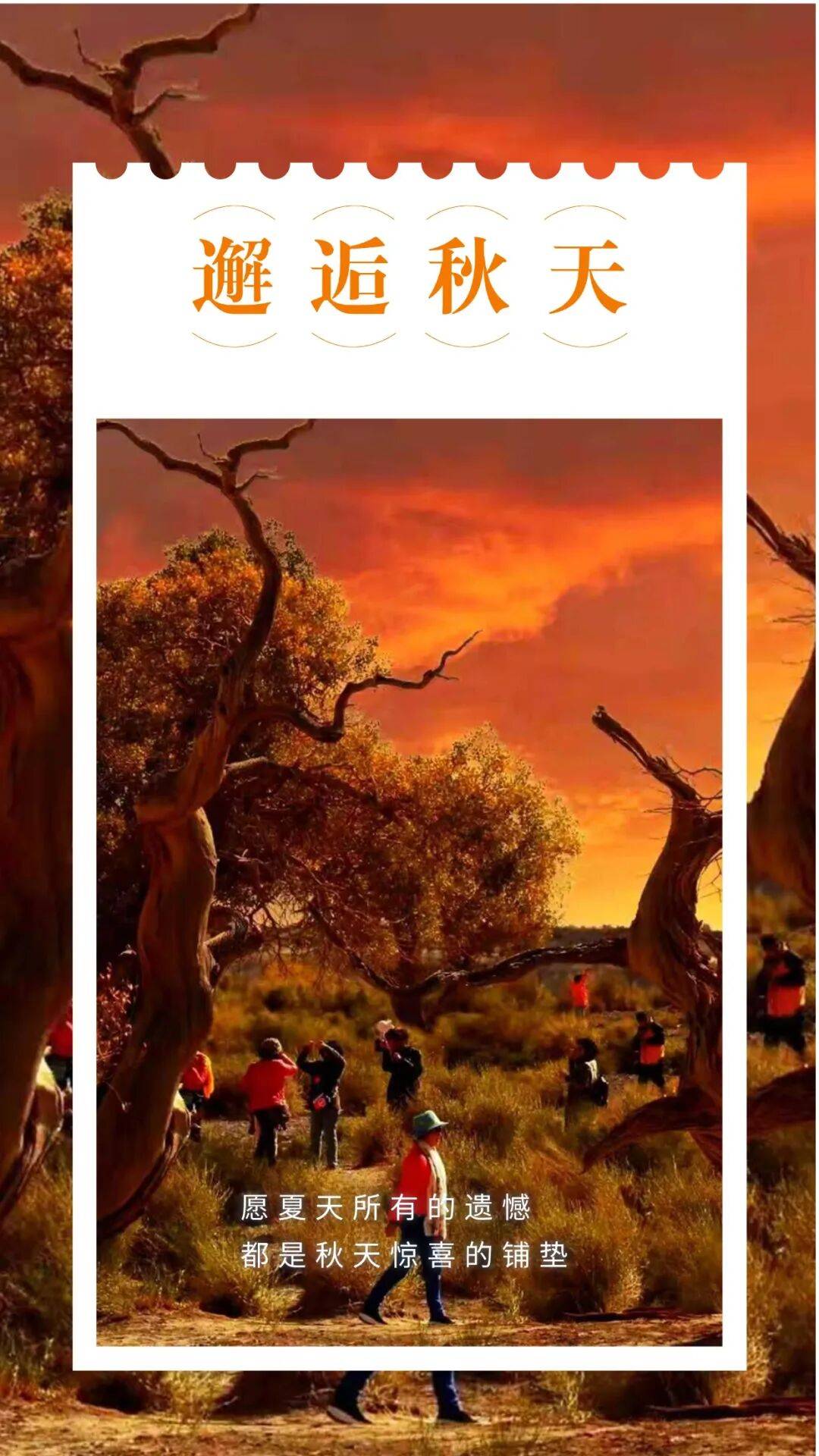 邂逅博州的秋天,从从容容游刃有余