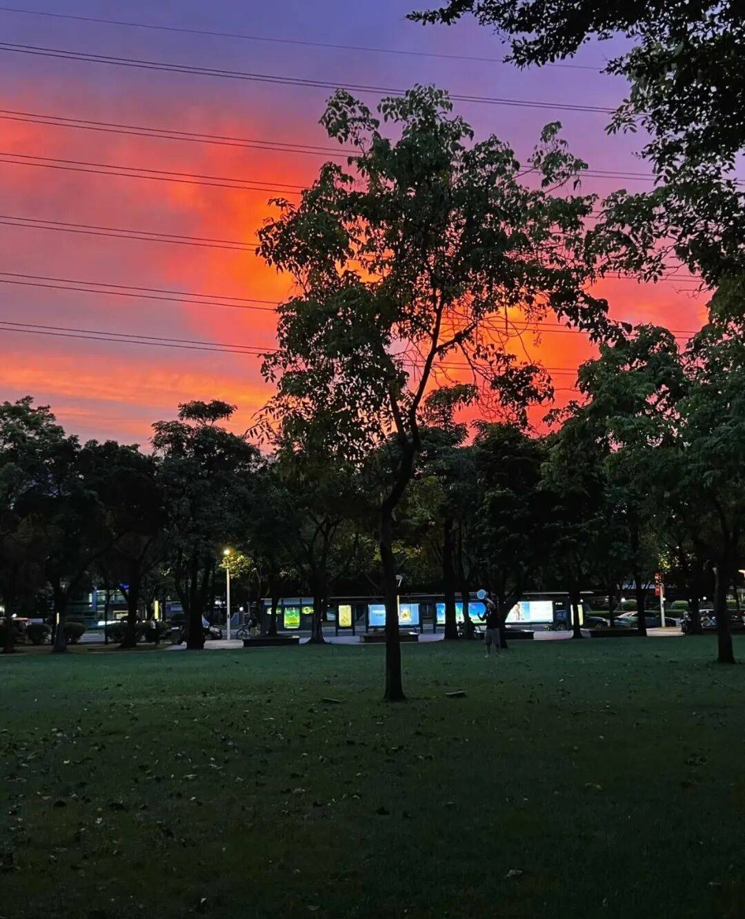 第一批丁克老后,“伴侣能陪一程,但最后都要靠自己”