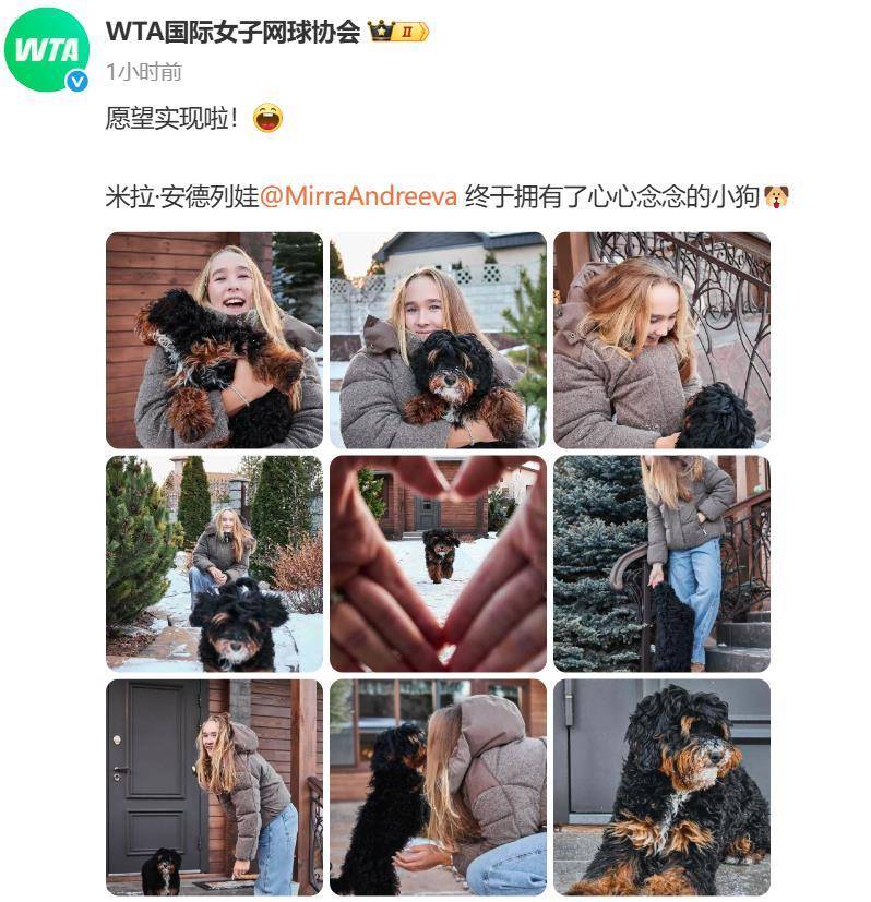 “小米辣”终于有了自己的小狗!曾说养狗是赢球的动力,WTA官方发“贺信”:愿望实现啦!