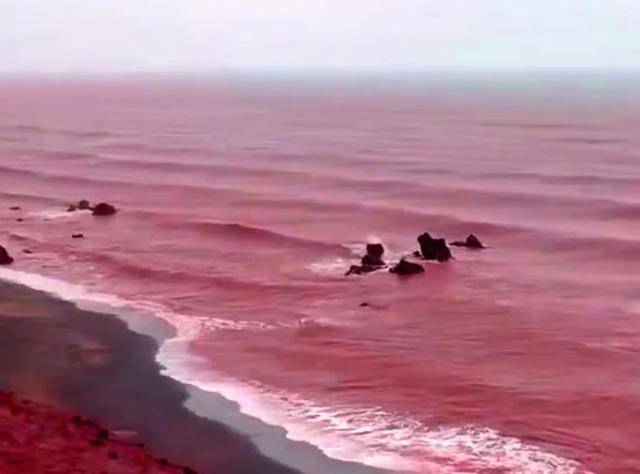 罕见！伊朗霍尔木兹岛遭遇强降雨，部分海域变成“血色海洋”
